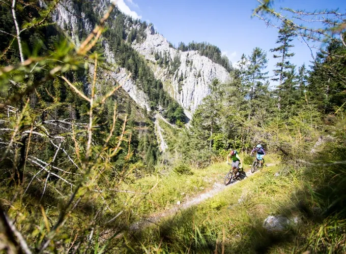 bike-experts-projekt-mountainbike-tour-nationalpark-1