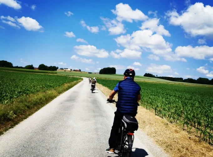 bike-experts-projekt-neuinszenierung-kremstalweg-1